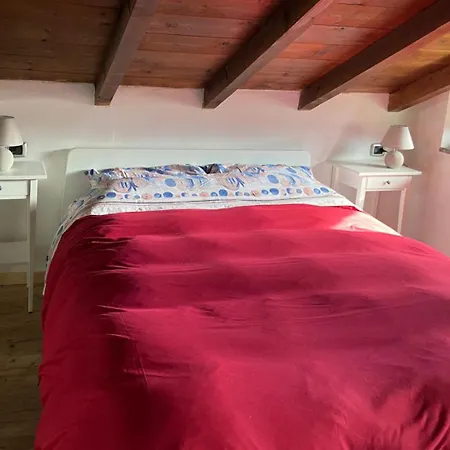White Nest - & Area *