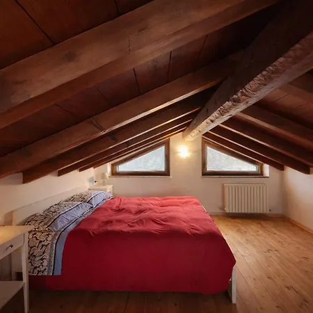 White Nest - & Area