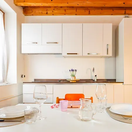 White Nest - & Area *