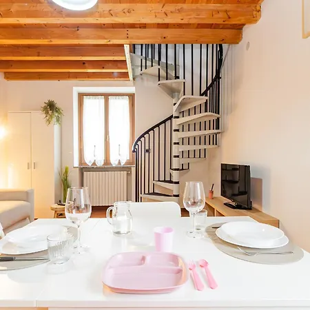 White Nest - & Area