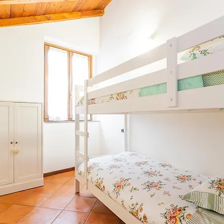 White Nest - & Area